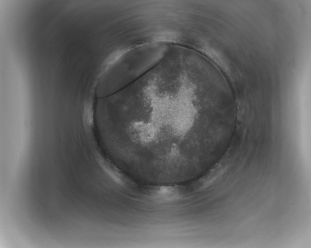 X0000112860060200908211329