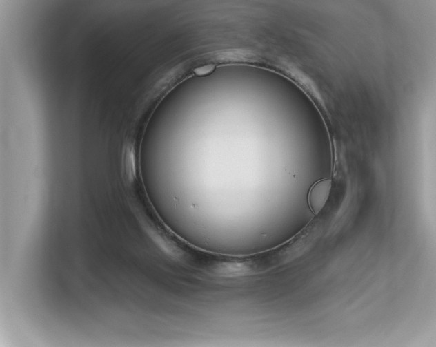X0000112860061200908211329