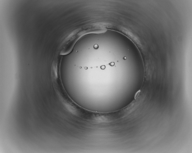 X0000112860062200908211329