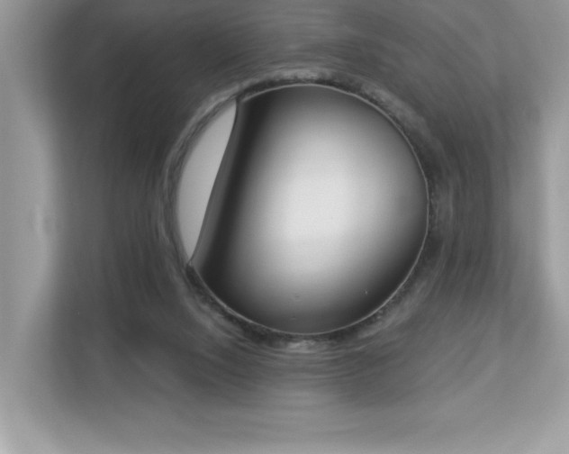 X0000112860064200908211329