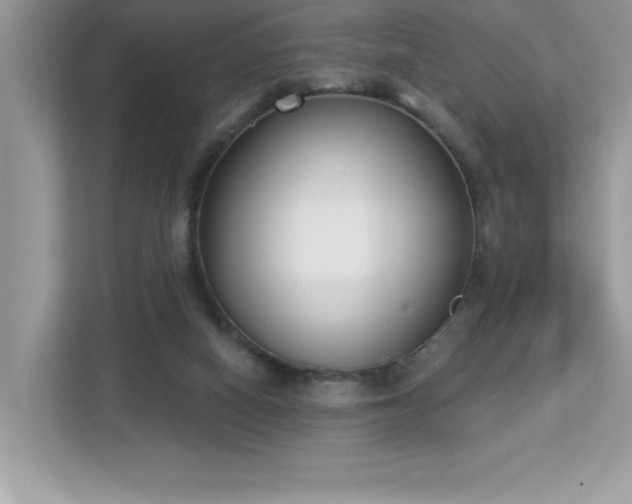 X0000112860066200908211329