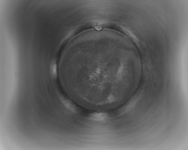X0000112860067200908211329