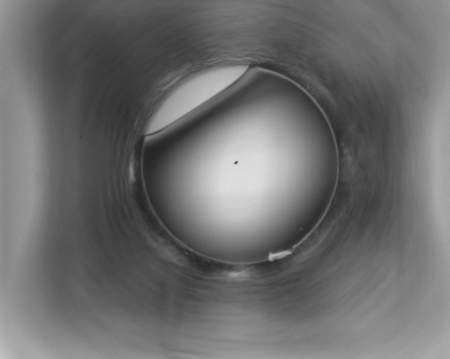 X0000112860068200908211329