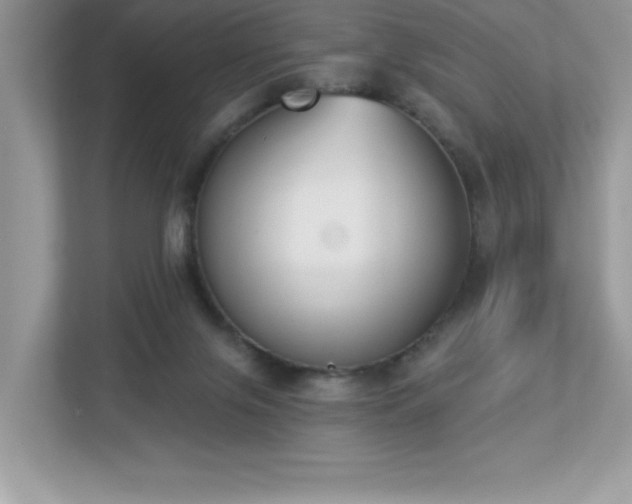 X0000112860071200908211329