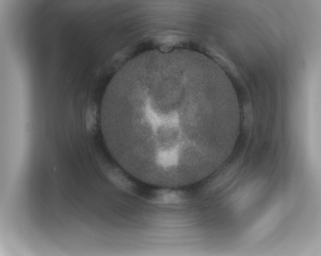 X0000112860073200908211329