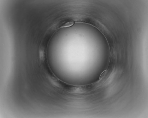 X0000112860074200908211329