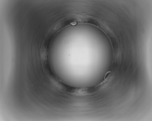 X0000112860078200908211329