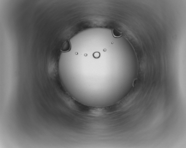 X0000112860079200908211329