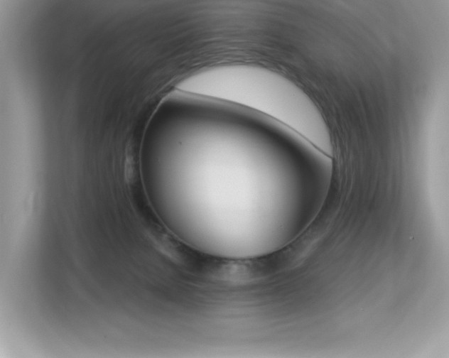 X0000112860080200908211329