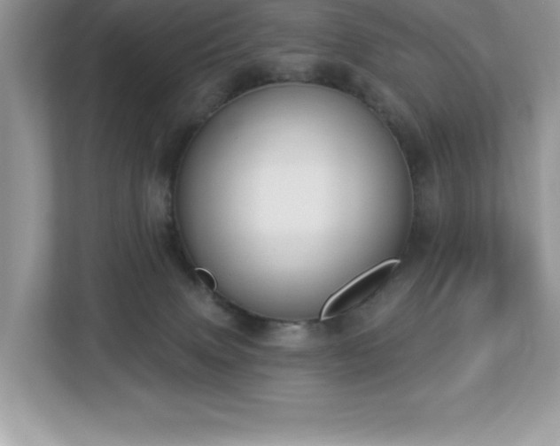 X0000112860083200908211329