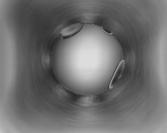 X0000112860084200908211329
