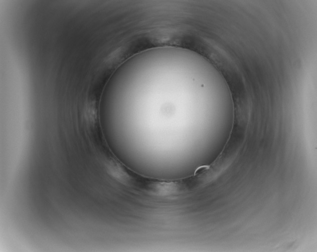 X0000112860085200908211329