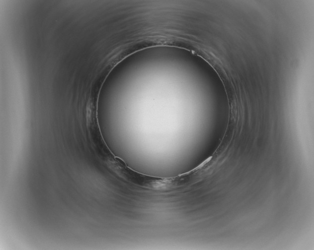 X0000112860092200908211329
