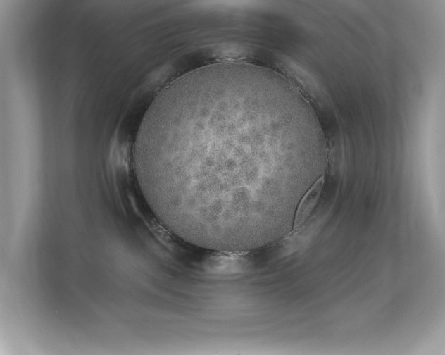 X0000112860093200908211329