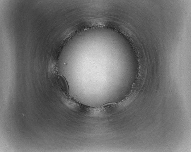 X0000112860096200908211329