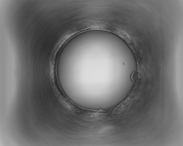 X0000112860098200908211329