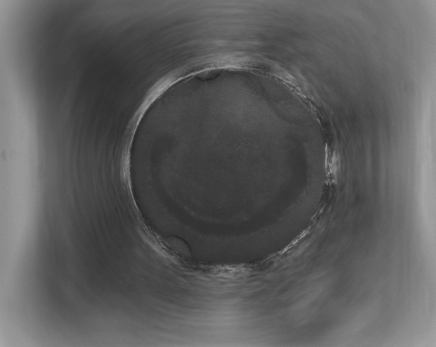 X0000112860099200908211329