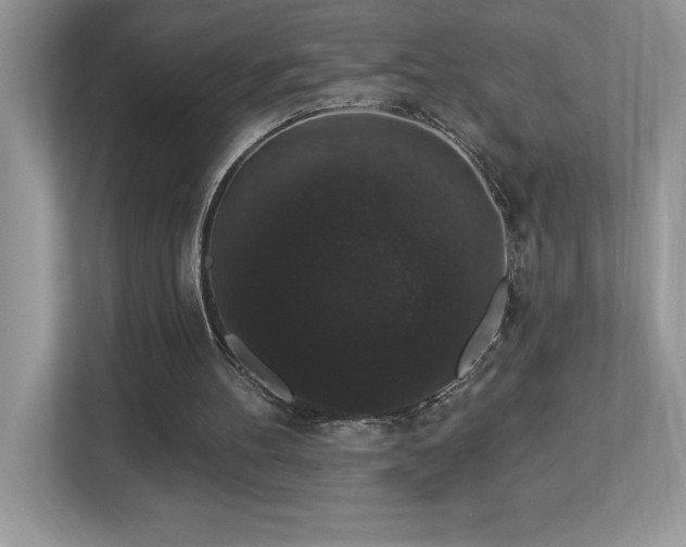 X0000112860100200908211329