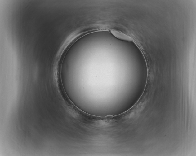 X0000112860103200908211329