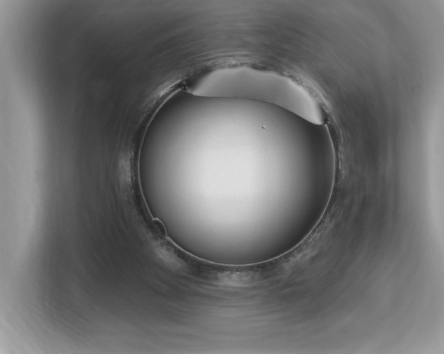X0000112860105200908211329
