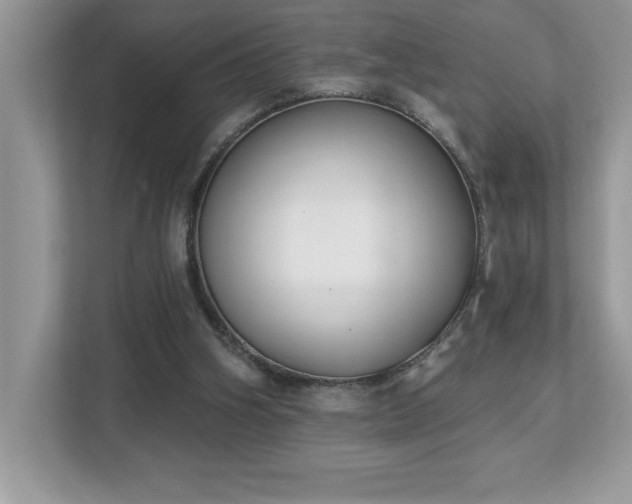 X0000112860106200908211329