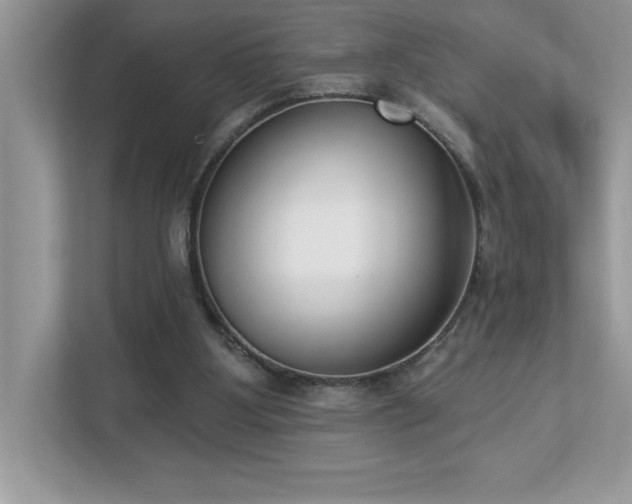 X0000112860107200908211329