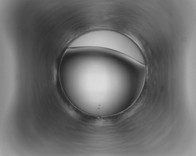 X0000112860109200908211329