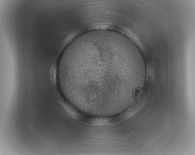 X0000112860110200908211329