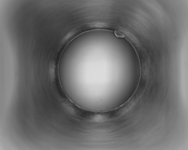 X0000112860111200908211329