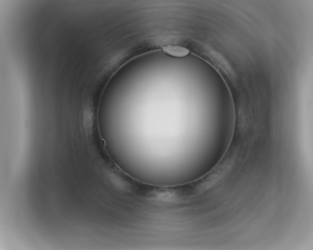 X0000112860113200908211329
