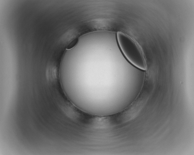 X0000112860117200908211329