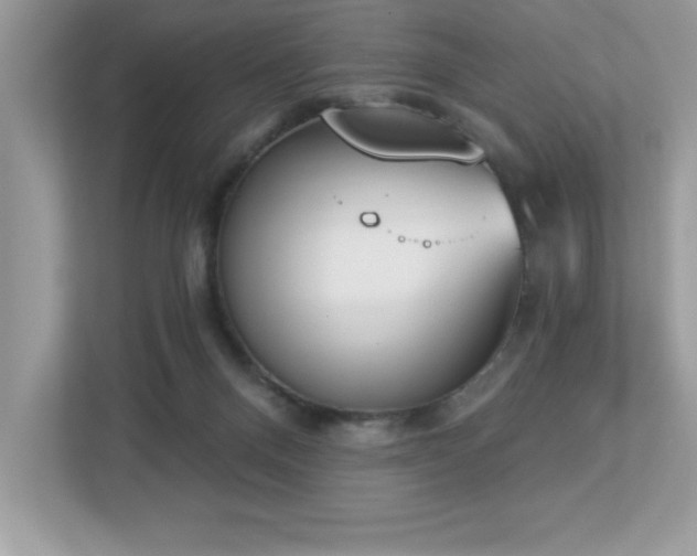 X0000112860120200908211329