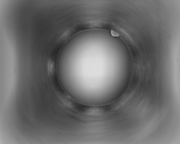 X0000112860123200908211328