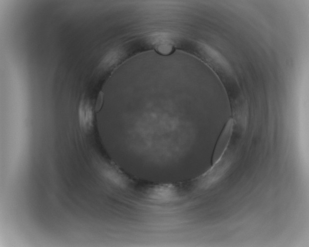 X0000112860124200908211328