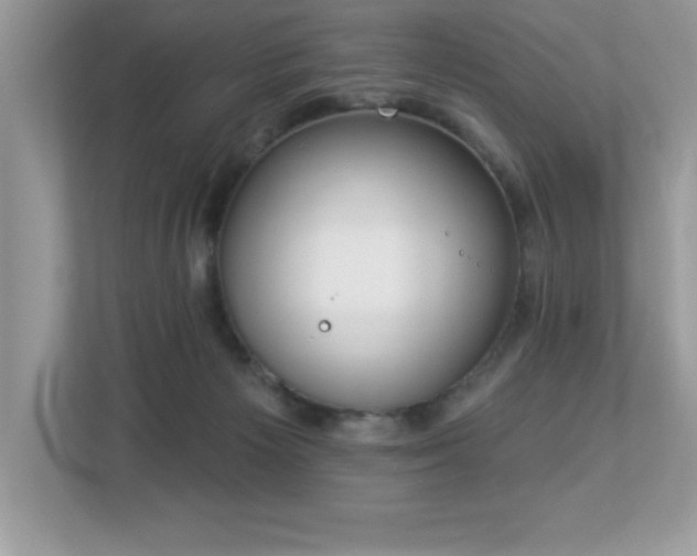 X0000112860125200908211328