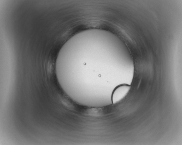 X0000112860126200908211328