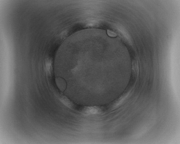 X0000112860127200908211328