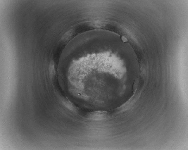 X0000112860128200908211328