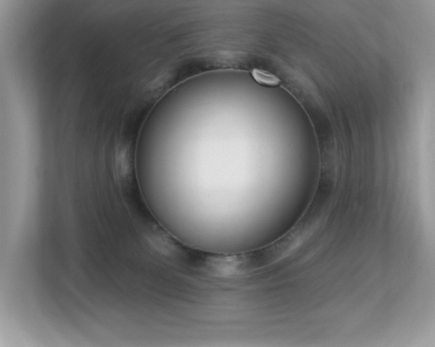 X0000112860131200908211328