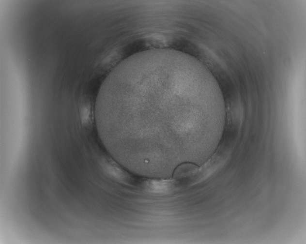 X0000112860134200908211328