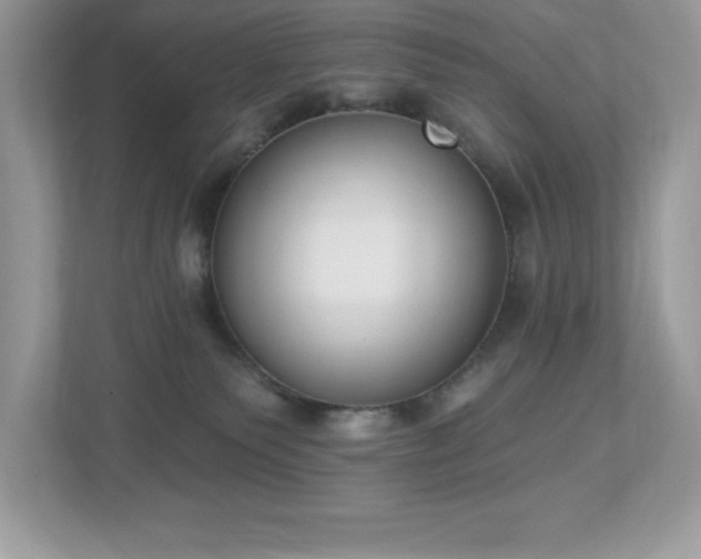 X0000112860135200908211328