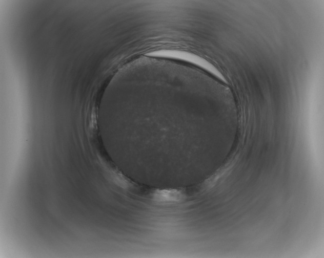 X0000112860137200908211328