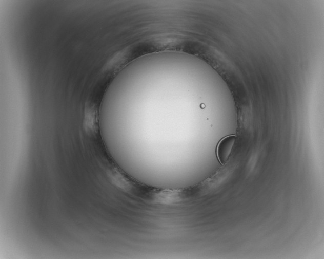 X0000112860138200908211328