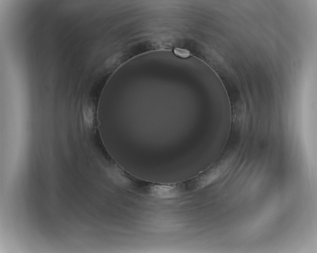 X0000112860139200908211328