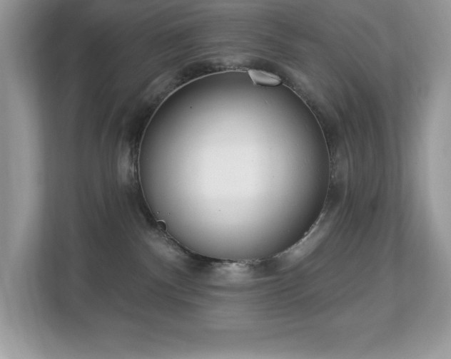 X0000112860140200908211328
