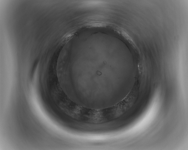 X0000112860143200908211328