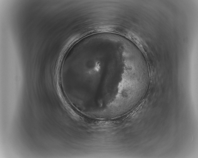 X0000112860145200908211328