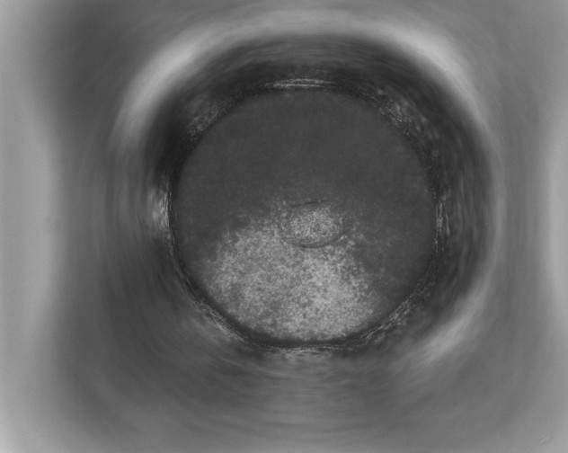 X0000112860146200908211328