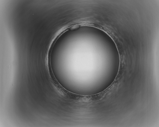X0000112860148200908211328