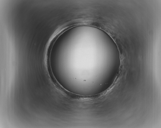 X0000112860150200908211328